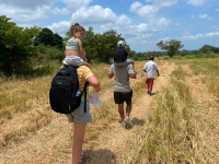 /album/fotogaleria-sri-lanka-maldivy-zajezd-vy-a-my/sri-lanka-zajazd-dovolenka-108-jpg1/